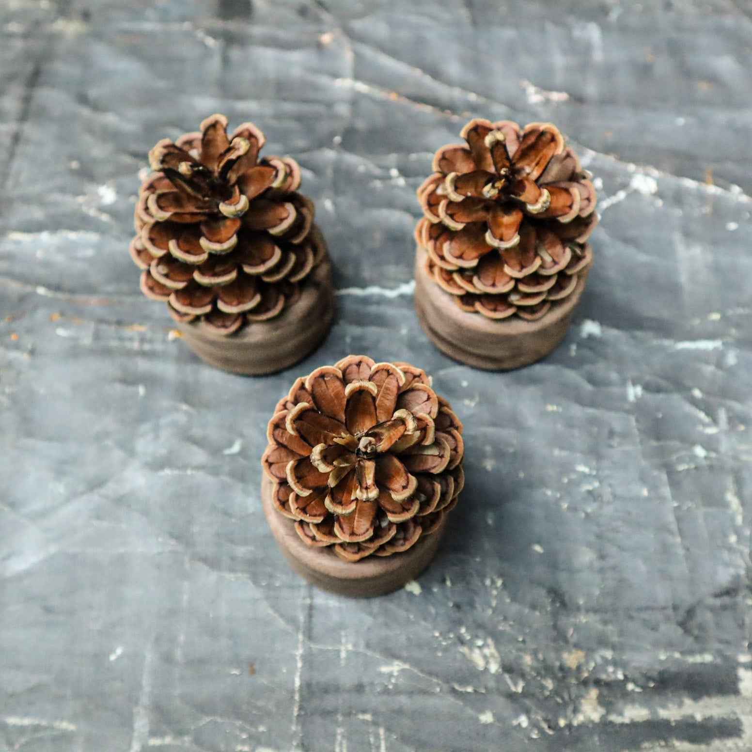 Pinecone Wooden Essential Oil Diffuser